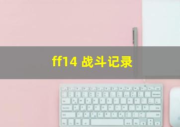 ff14 战斗记录